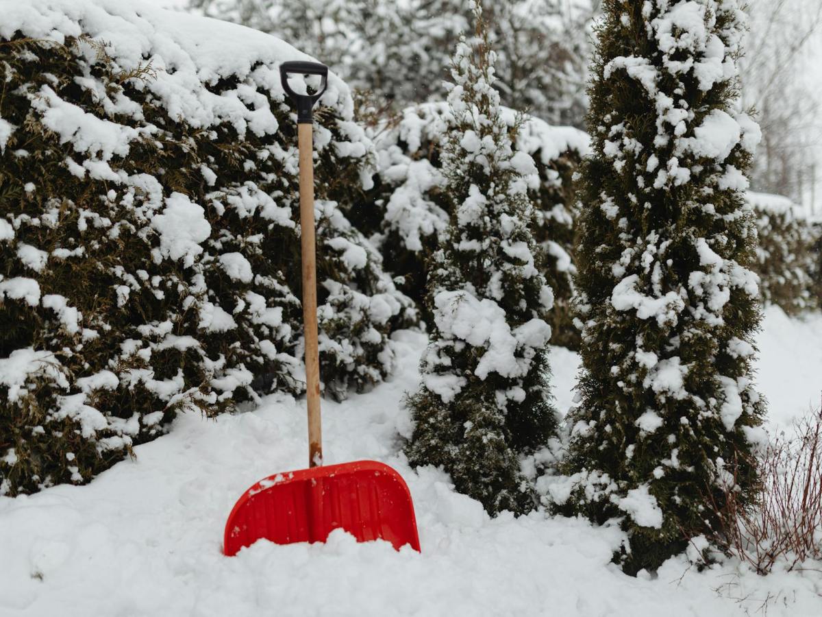 Adulting is…never having enough wine for a snow&nbsp;WEEK.