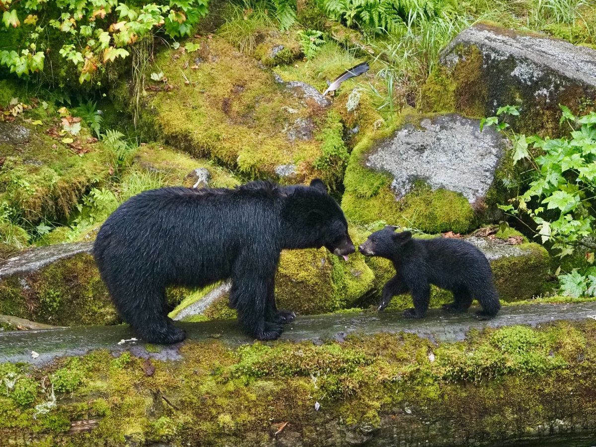 Coffee Thoughts: Learning to Observe, Not&nbsp;Overbear